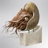 The Nautilus
Bronze & Aluminum
Limited Edition of 24
30"x30"x10"